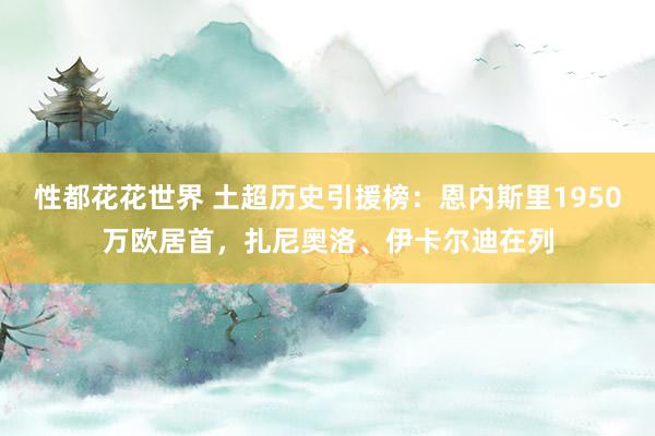 性都花花世界 土超历史引援榜：恩内斯里1950万欧居首，扎尼奥洛、伊卡尔迪在列