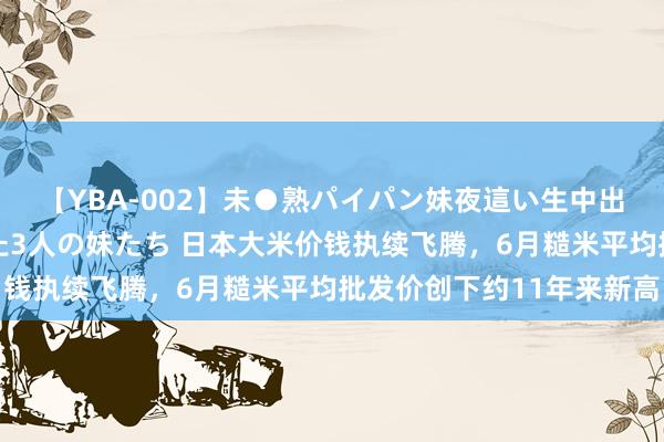 【YBA-002】未●熟パイパン妹夜這い生中出しレイプ 兄に犯された3人の妹たち 日本大米价钱执续飞腾，6月糙米平均批发价创下约11年来新高